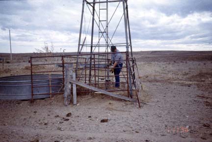 stock tank and windmill