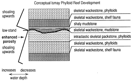 Schematic of facies expected at Ismay reef based on water depth changes.