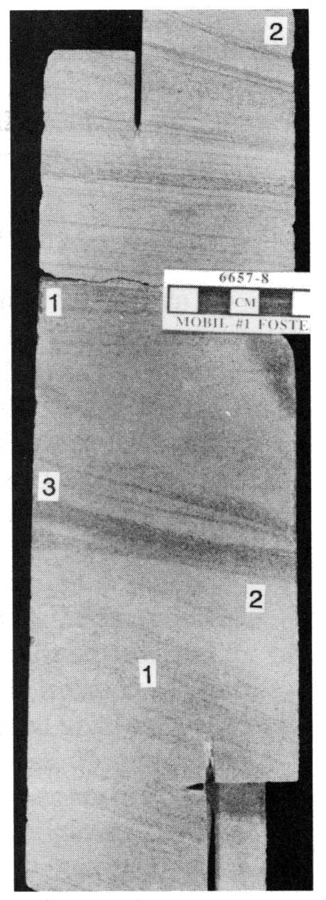 Black and white image of core.