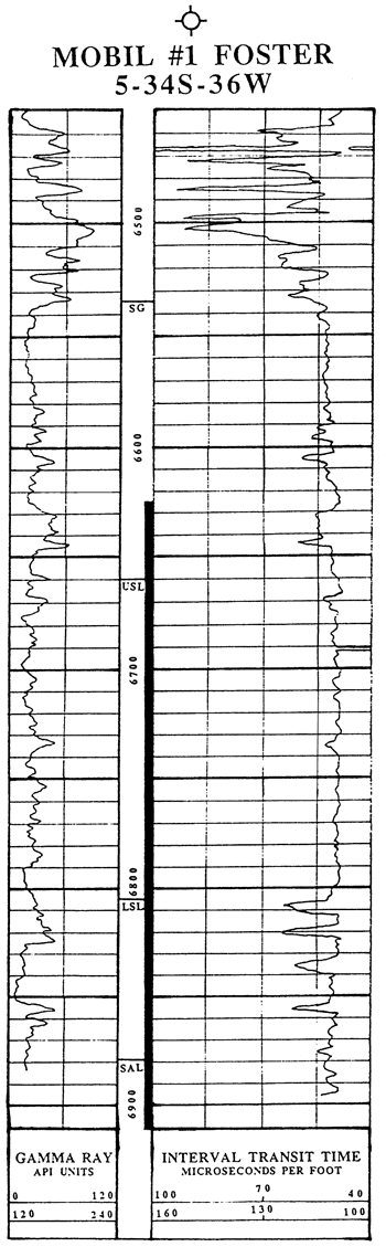 Gamma ray and sonic logs from No. 1 Foster Well.