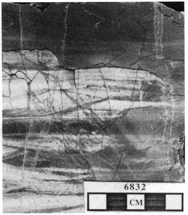 Black and white image of core.