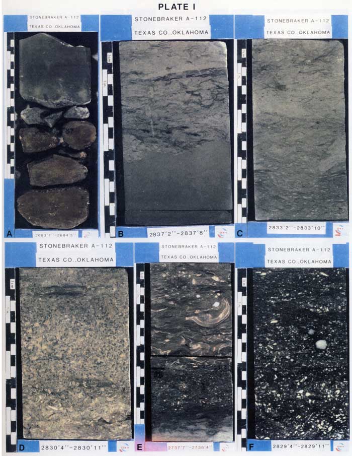 Color photo of 6 core samples.