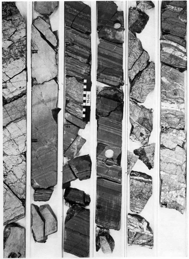 Black and white photo of core.