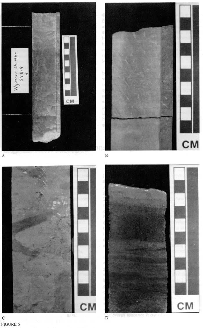 Black and white photos of four sections of core.