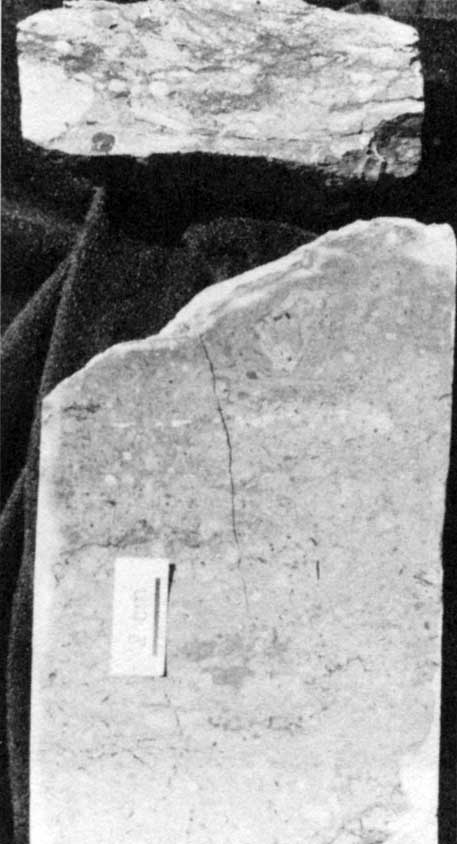 Black and white photo of core slab.