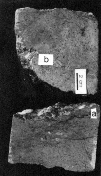 Black and white photo of core slab.