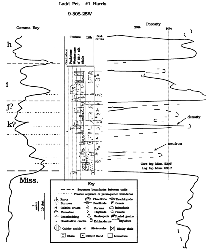 Gamma ray and porosity logs with core description.