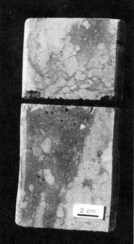 Black and white photo of core slab.