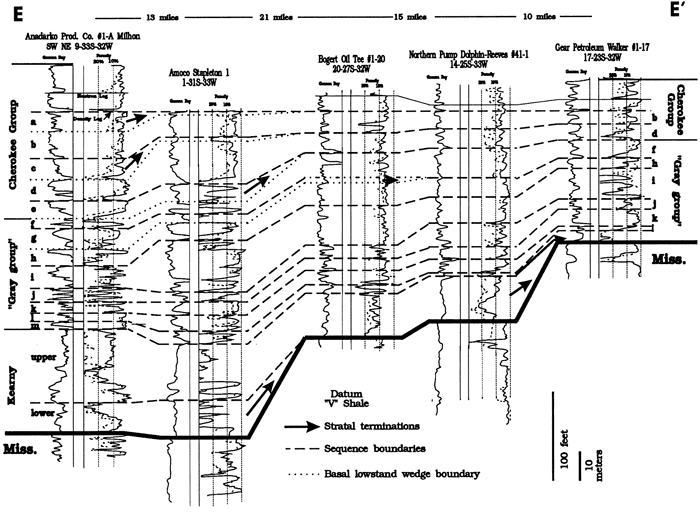 Cross section E-E' from Gray group reference section.