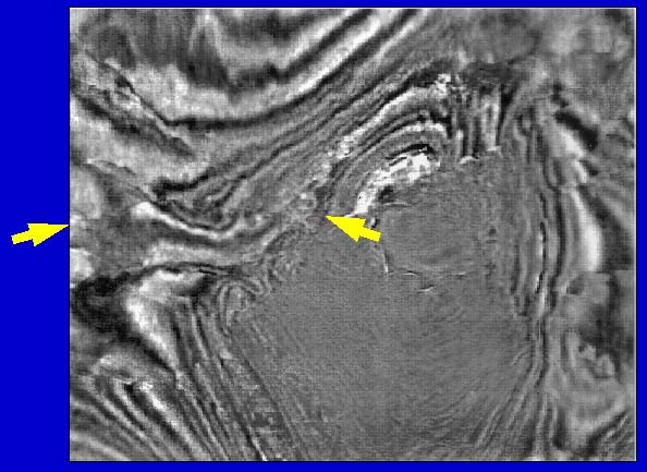 fault not easy to see on this seismic time slice