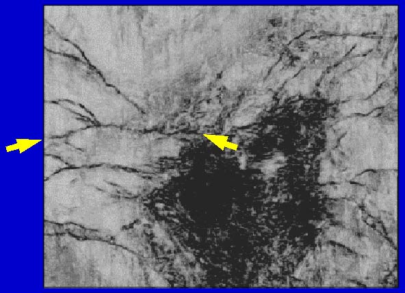 fault easier to see when coherence is plotted