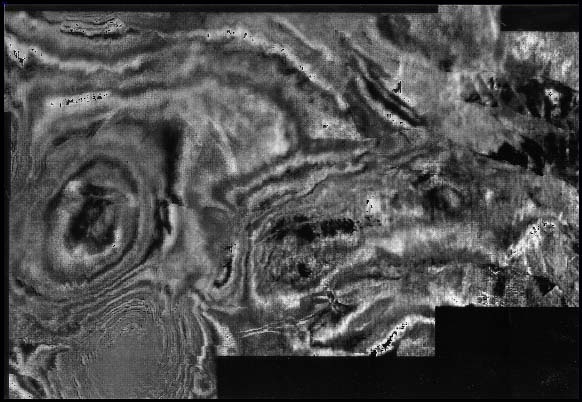 time slice data from the Gulf of Mexico