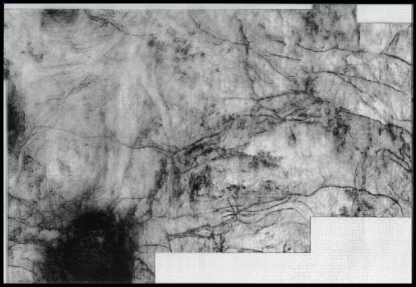 coherence slice data from the Gulf of Mexico