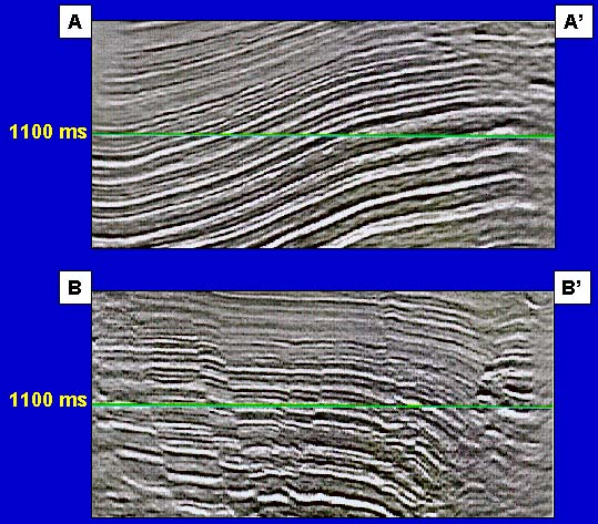 The seismic profiles confirm the presence of faults