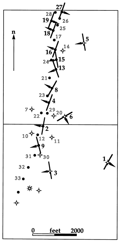 33 wells driled with 14 dipmeter logs; most wells dip to West and line up on trend; wells 1, 6, 19, and 27 point to East.