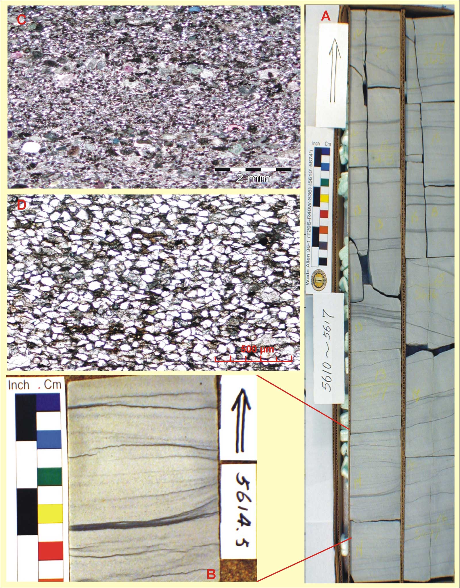 Core in box; core slab; core closeup