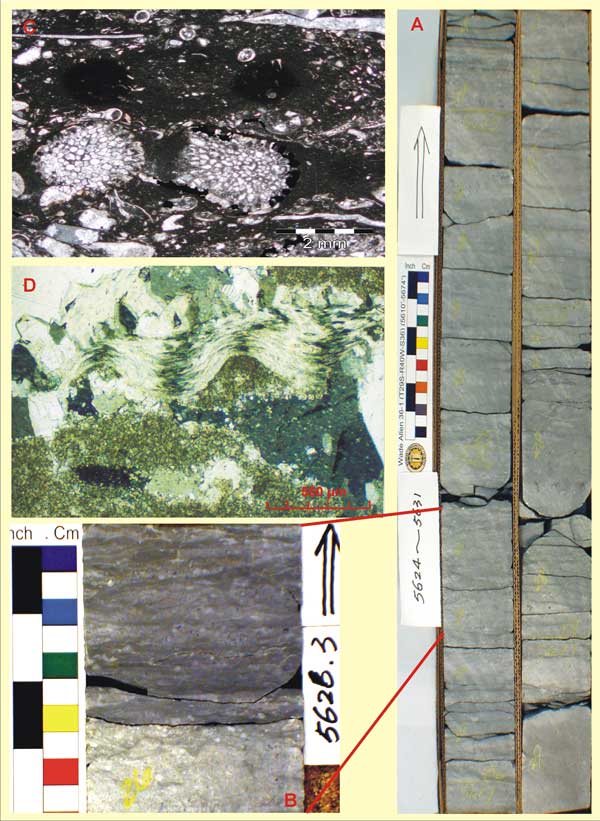 Core in box; core slab; core closeup