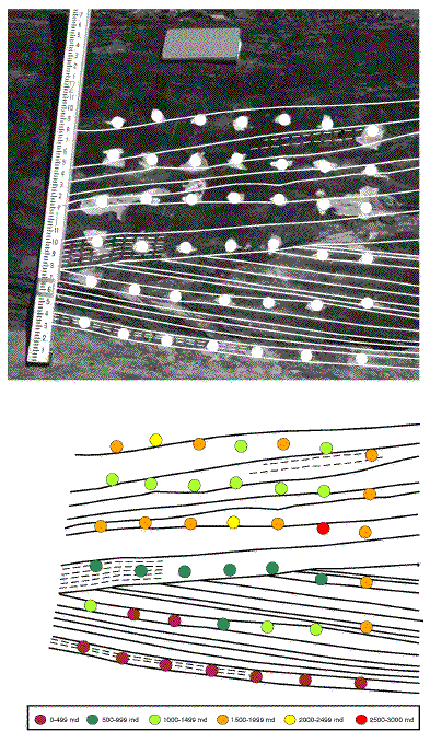 Photo of outcrop with sample locations.