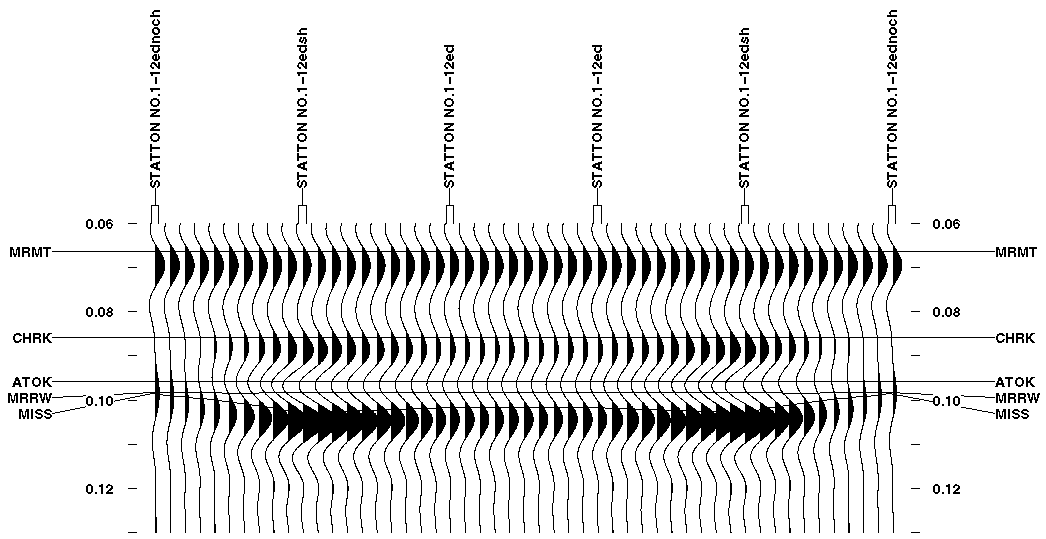 black and white seismic plot