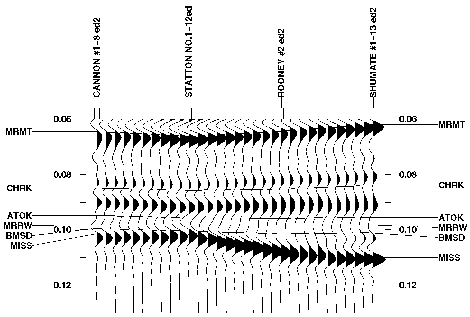 black and white seismic plot