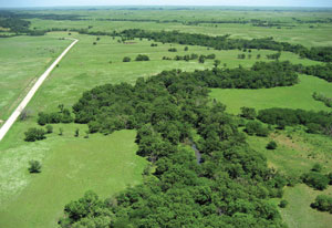 Photo from kite; green grasslands with gravel road to left, trees following stream on right.