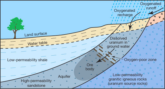 Uranium dissolved in ground water can precipitate out into an ore body.