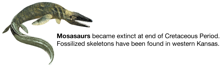 Mosasaurs became extinct at the end of the Cretaceous Period
