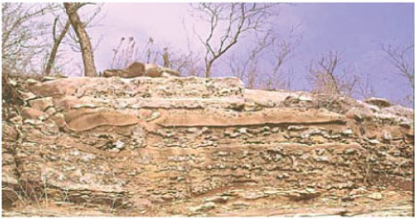 Exposed Sedimentary Rock