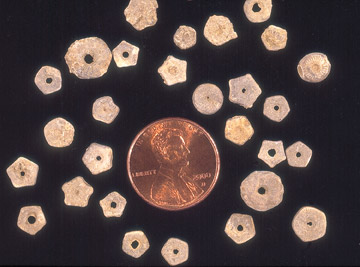 Crinoid stem pieces are common fossils in Kansas rocks.