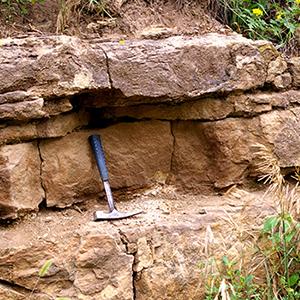Rocks, Minerals, and Fossils
